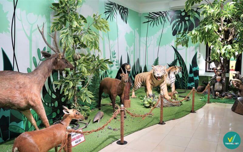 Bảo tàng Thiên nhiên duyên hải miền Trung