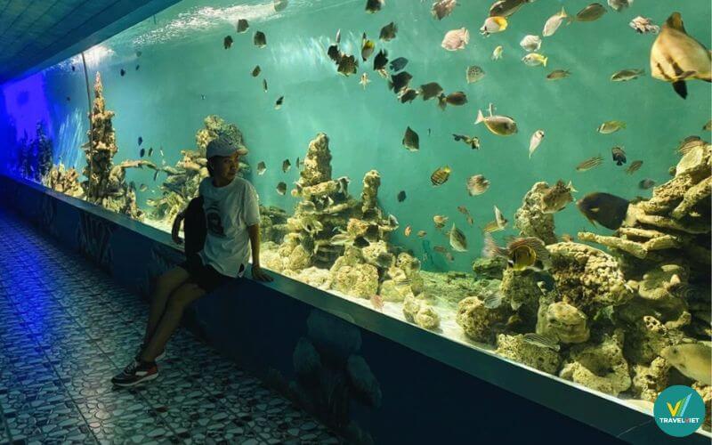 Bảo tàng Hải Dương Học Nha Trang