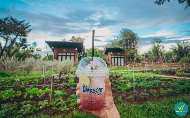 Paksong Farmstay Gia Lai