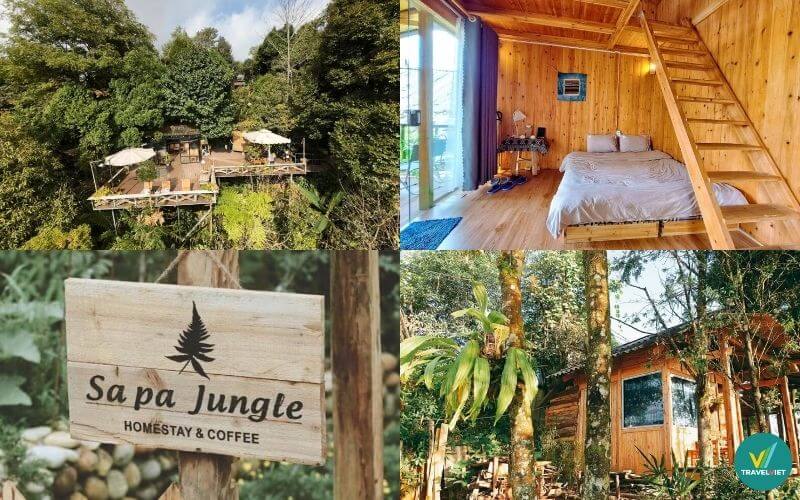 Sapa Jungle Homestay
