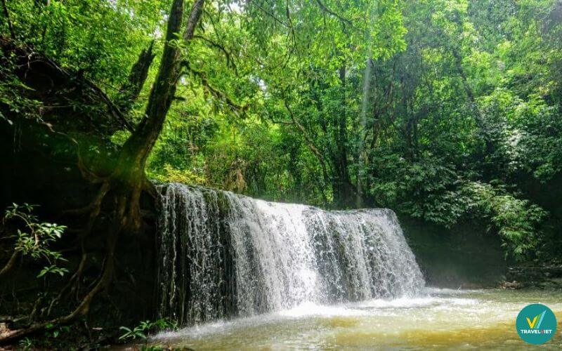 Vivu vườn quốc gia Bù Gia Mập