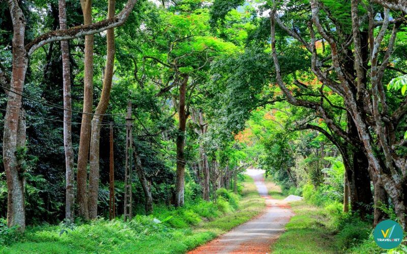 Khám phá vườn quốc gia Cát Tiên