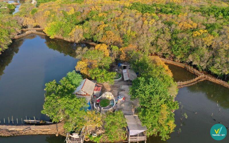 Khám phá khu rừng ngập mặn Rú Chá trên phá Tam Giang