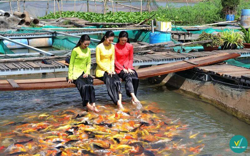 Khu Du Lịch Sinh Thái Cồn Sơn