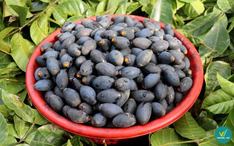 Nham trám Hiệp Hòa