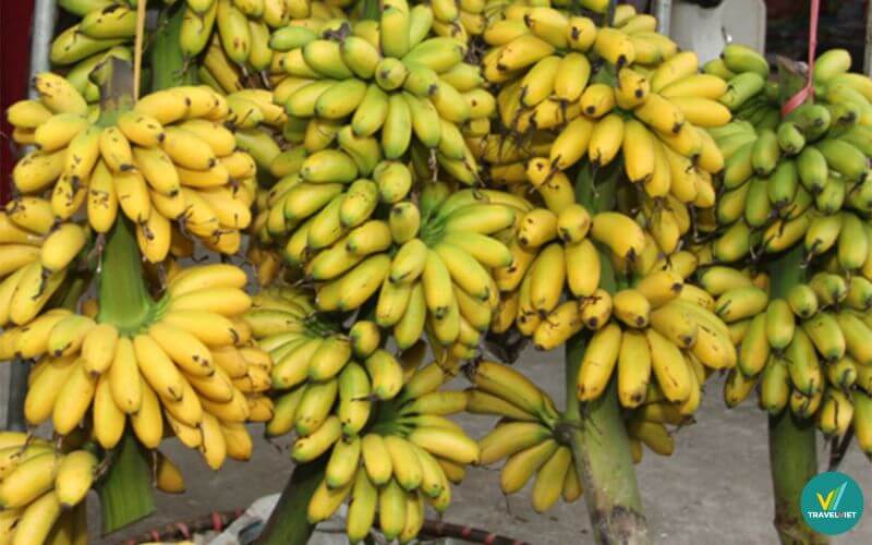 Chuối ngự Đại Hoàng