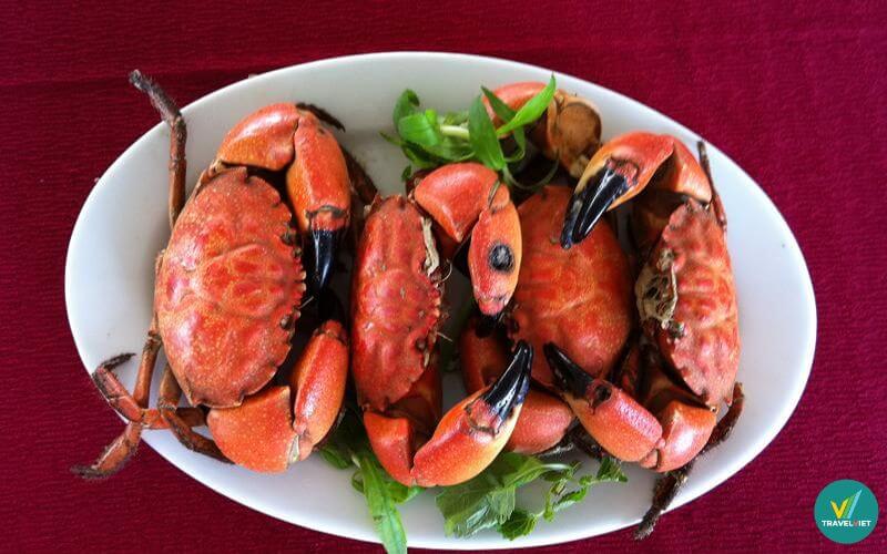 Cù kỳ Quảng Ninh