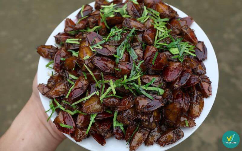 Bọ xít chiên giòn