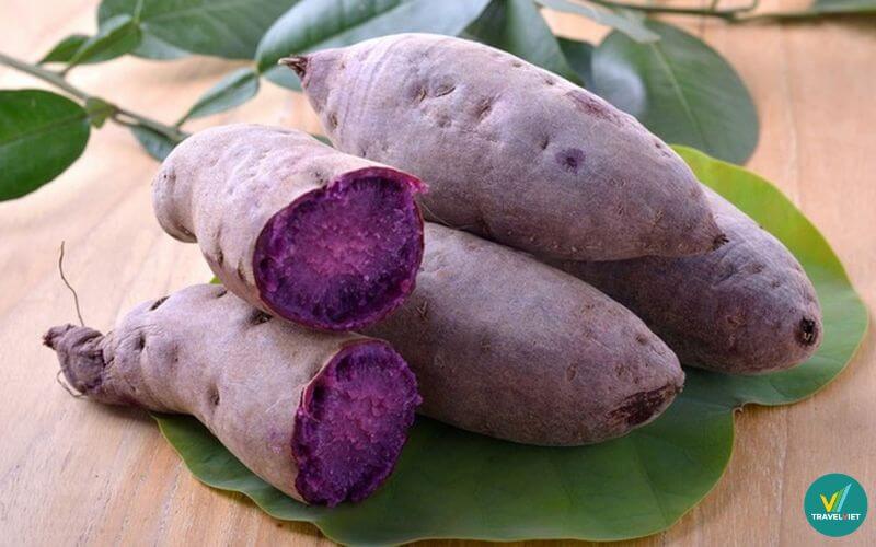 Khoai tím (khoai môn) Lục Yên