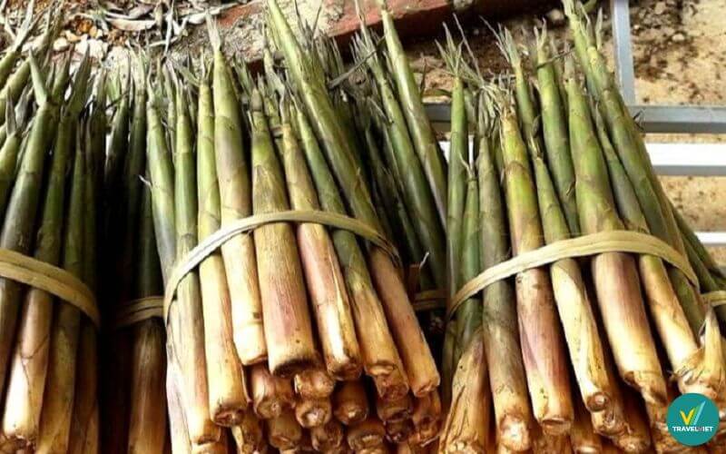 Măng sặt Yên Bái