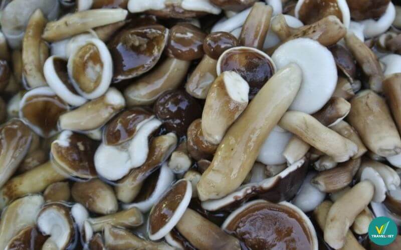 Nấm tràm Kiên Giang