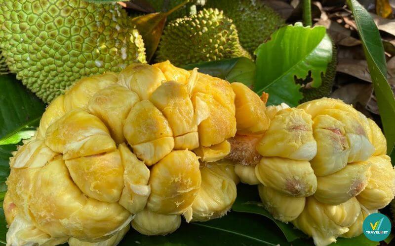 Mít tố nữ Long Khánh