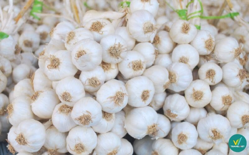 Tỏi Lý Sơn