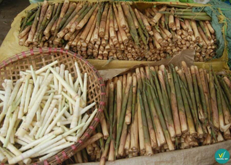 Măng sặt Yên Bái