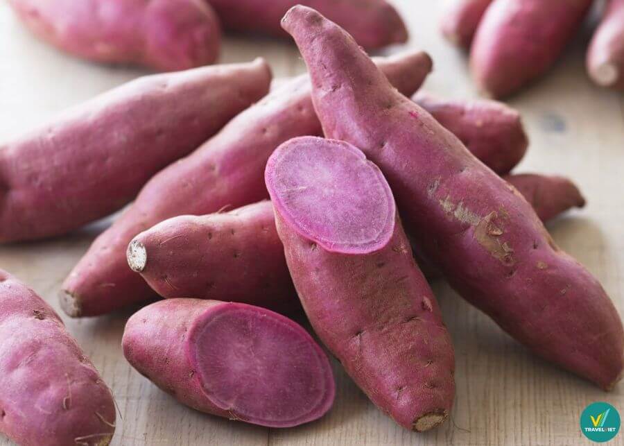 Khoai tím (khoai môn) Lục Yên