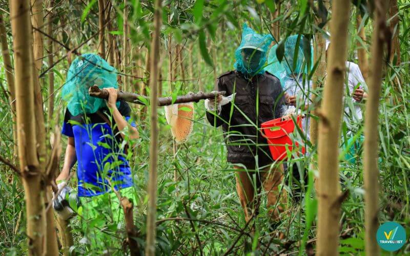 Trải nghiệm gác kèo ong rừng tràm U Minh