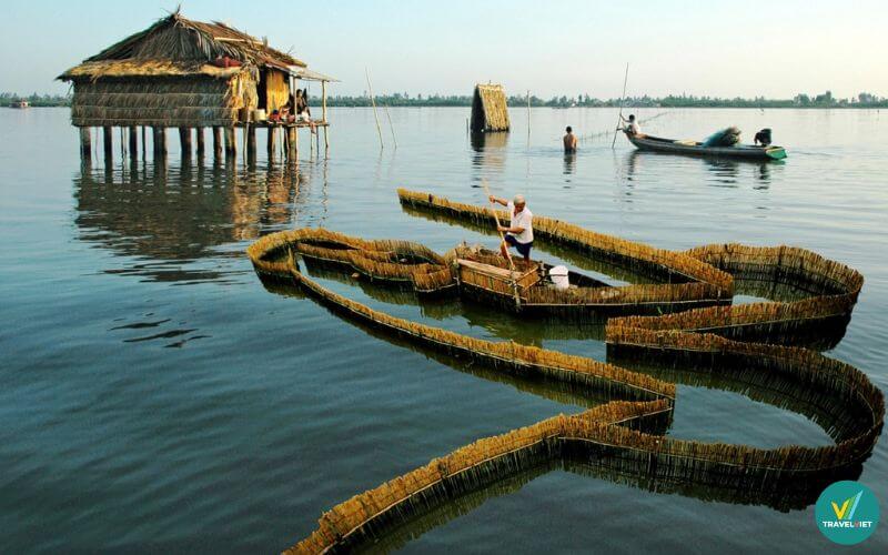 Tham quan đầm Thị Tường