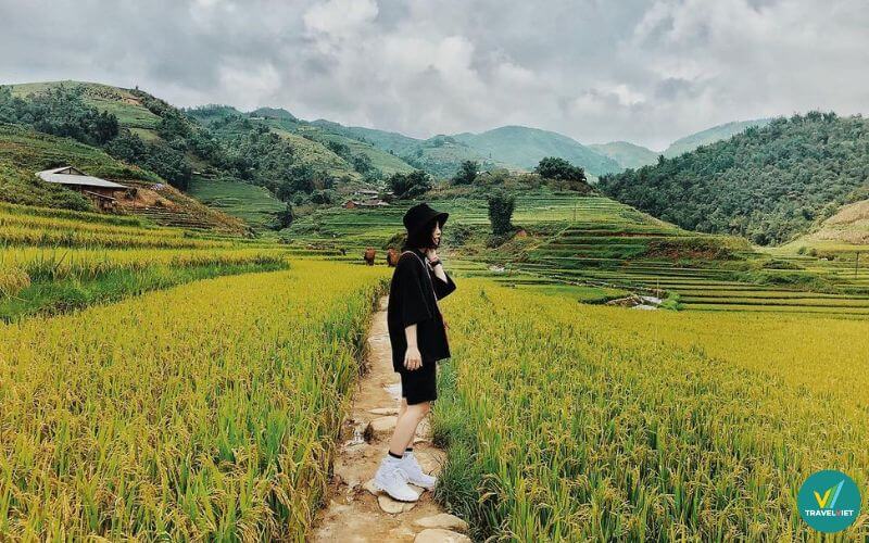 Vivu cánh đồng Mường Thanh