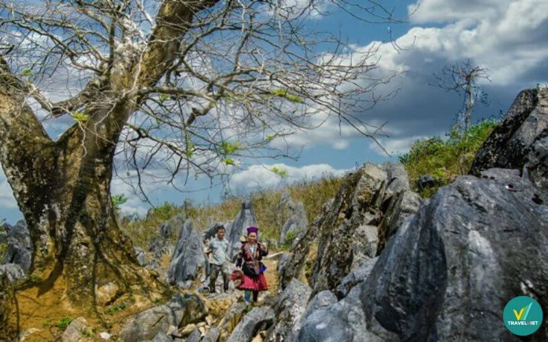 Khám phá Cao nguyên đá Tủa Chùa