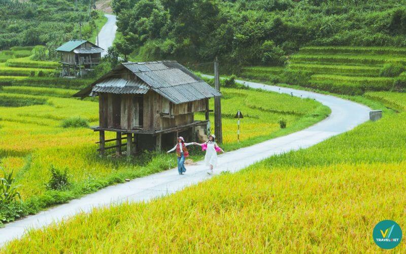 Ngắm mùa lúa chín ở Nậm Cang