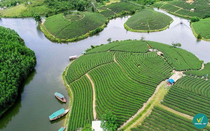Check-in Đảo Chè Thanh Chương