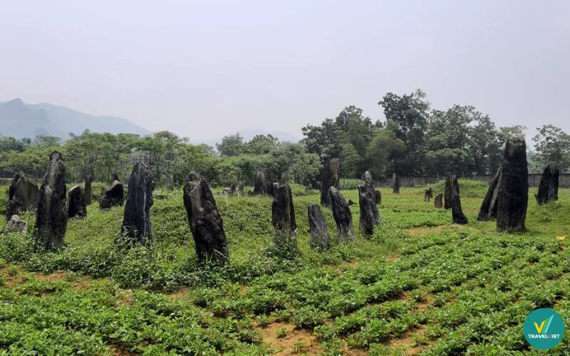 Khu mộ cổ Đống Thếch