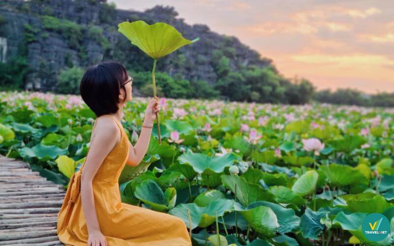 Nên du lịch trải nghiệm tại Phú Thọ thời gian nào?