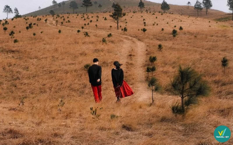 Cắm trại trên núi Phượng Hoàng tuyệt đẹp