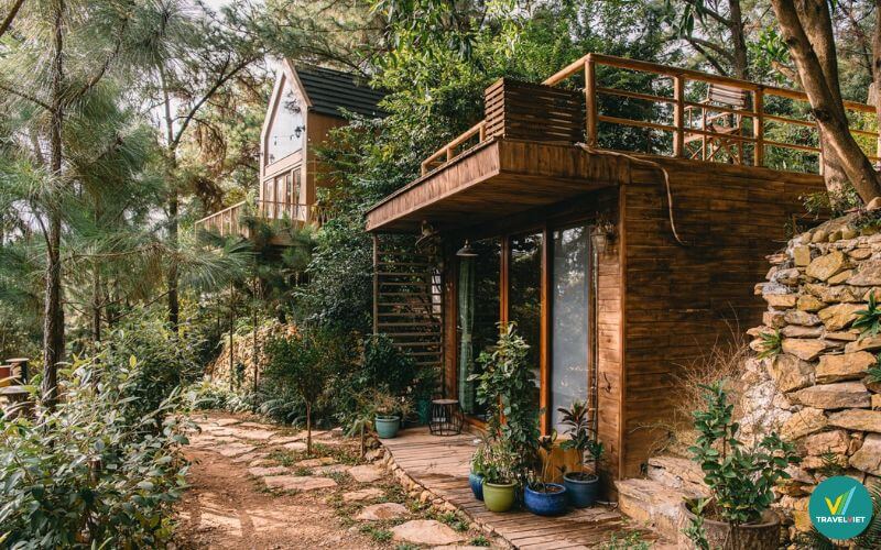 U Lesa Nhà Bên Rừng