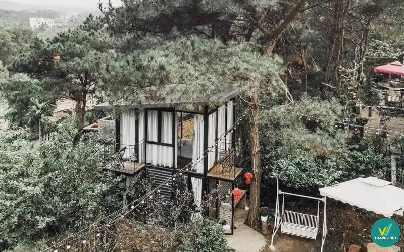 The Chipmunk - Nhà của Sóc