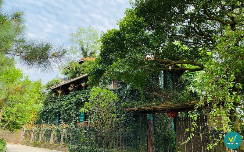 Jungle House Bắc Ninh