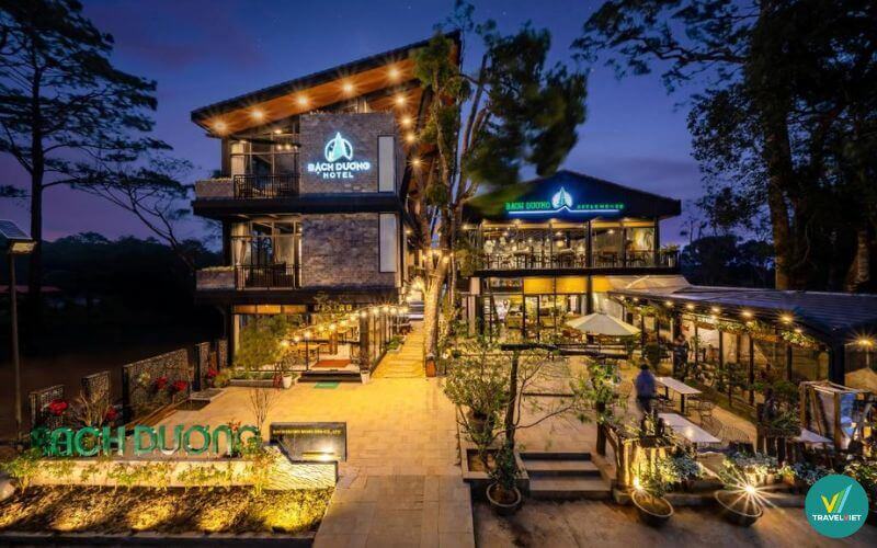 Bạch Dương Homestay