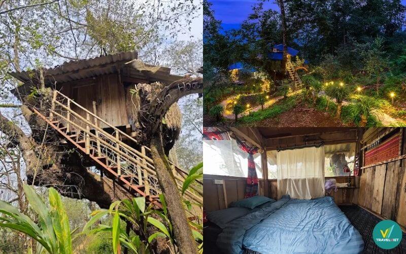 Homestay Nhà tổ chim