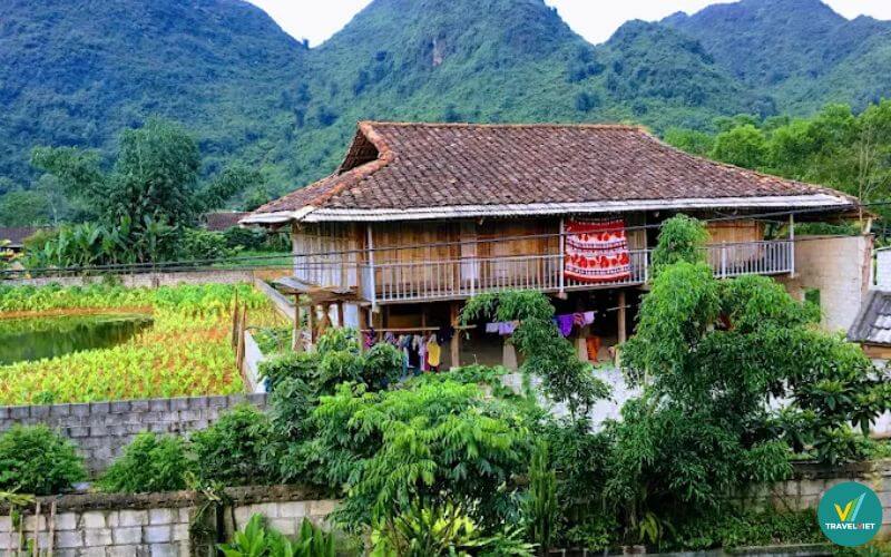 Homestay Ông Vấn