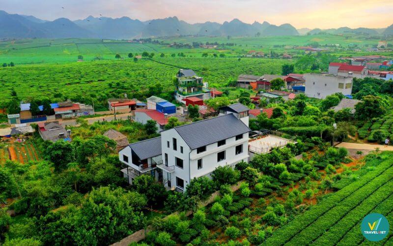 Mộc Châu Cottage Homestay tại Sơn La