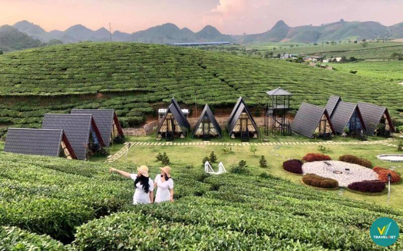 Thung Lũng Ba Đồi Chè Homestay