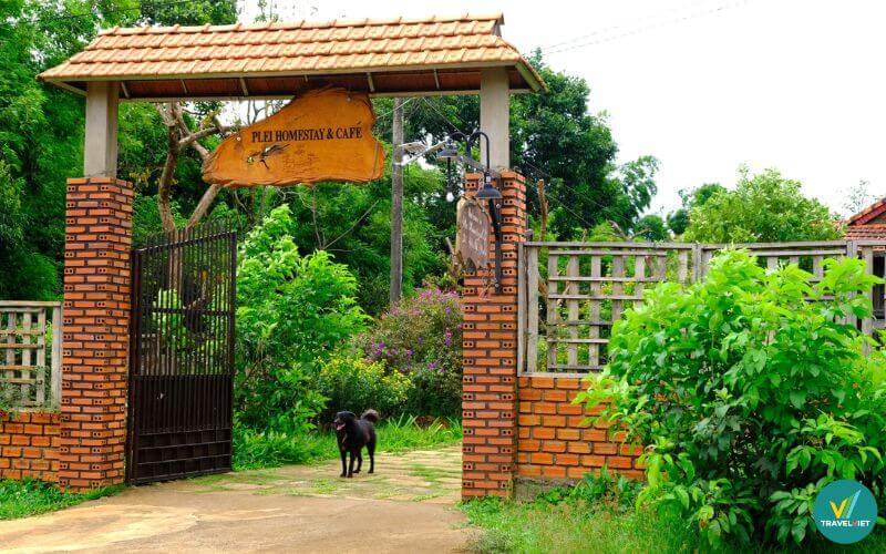 Plei Homestay & Café