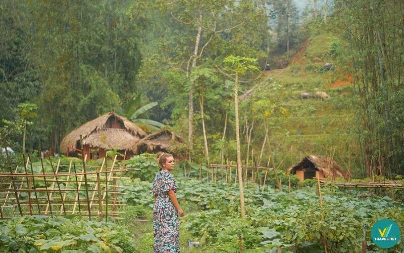 Khu du lịch sinh thái Nậm An