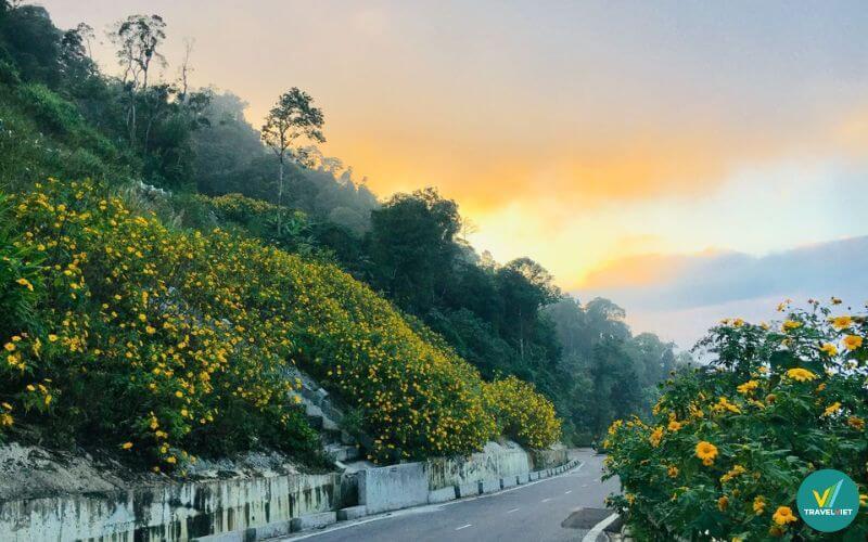 Vườn Quốc gia Ba Vì