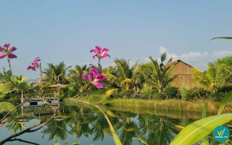 Khu sinh thái Đồng Sen Đất Hòn