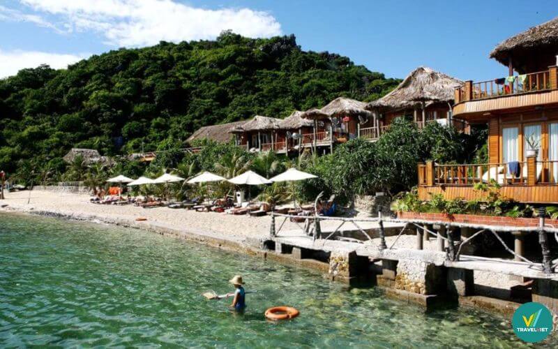 Monkey Island Resort