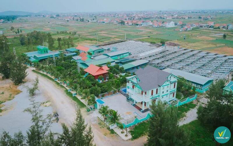 Villa Tảo Xoắn