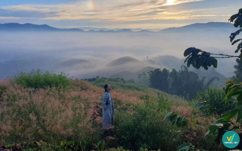 Đồi Bát Úp - Lâm Đồng