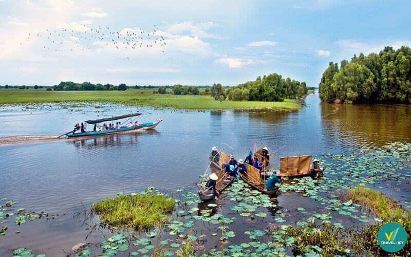 Khu du lịch Tràm Chim