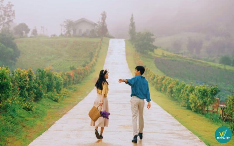 Vivu thành phố mộng mơ Đà Lạt