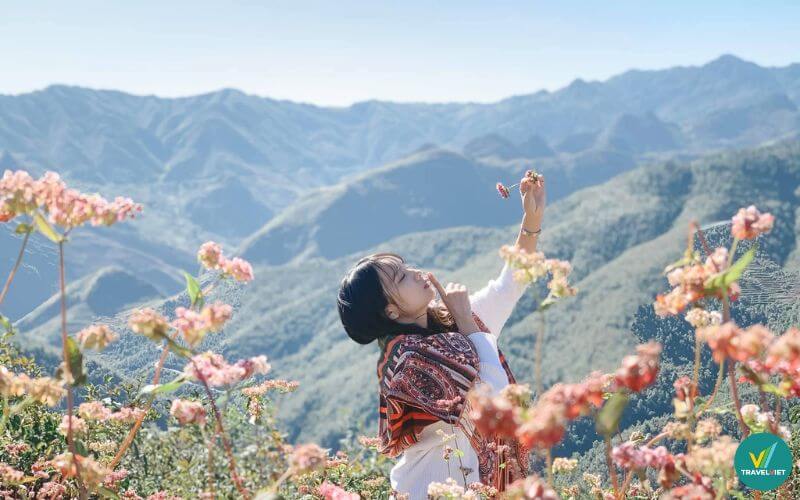 Hà Giang – Cao nguyên đá và mùa lúa chín