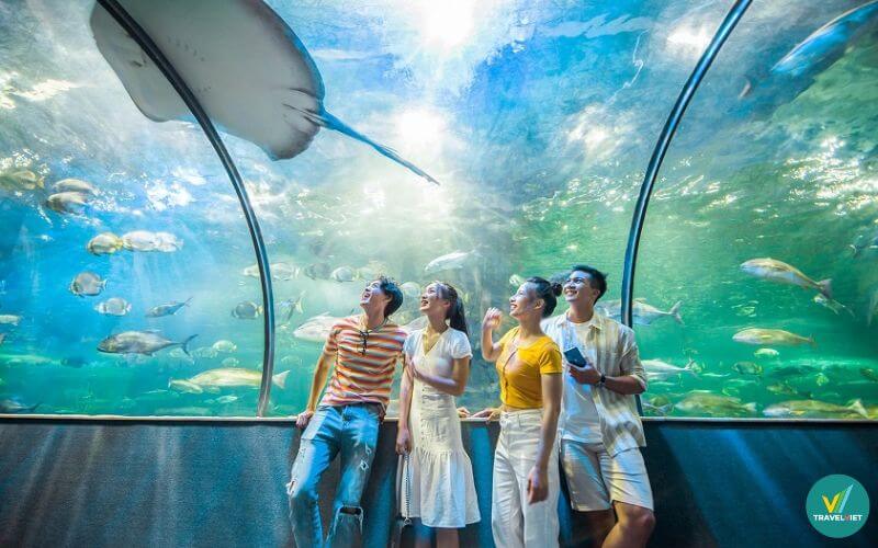 Thủy cung Times City Hà Nội