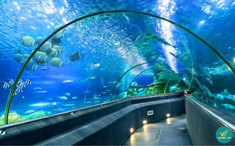 Viện hải dương học Nha Trang