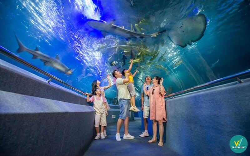 Thủy cung Trí Nguyên Nha Trang