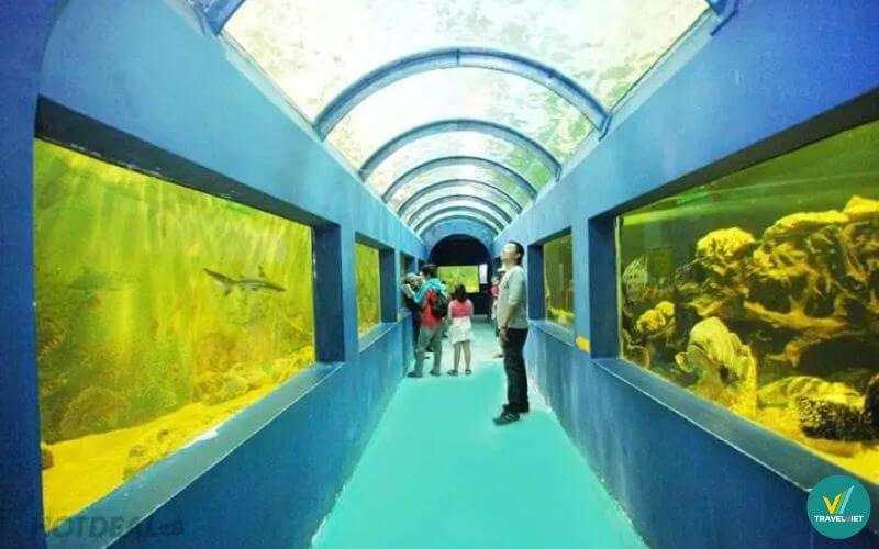 Thủy cung Đầm Sen Sài Gòn